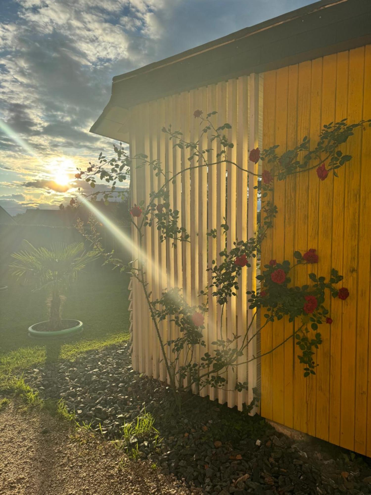 Bungalows Sonnenblume Am Klopeiner See Sankt Kanzian am Klopeiner See Dış mekan fotoğraf